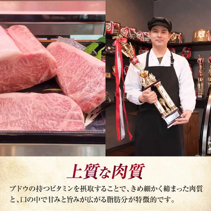 黒毛和牛 サーロインステーキ 400g[APAX009] ステーキ