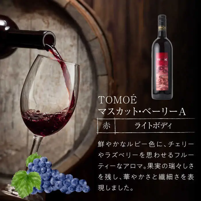 ワインセット【先行予約】TOMOE 2本セット [APAZ018] ワイン