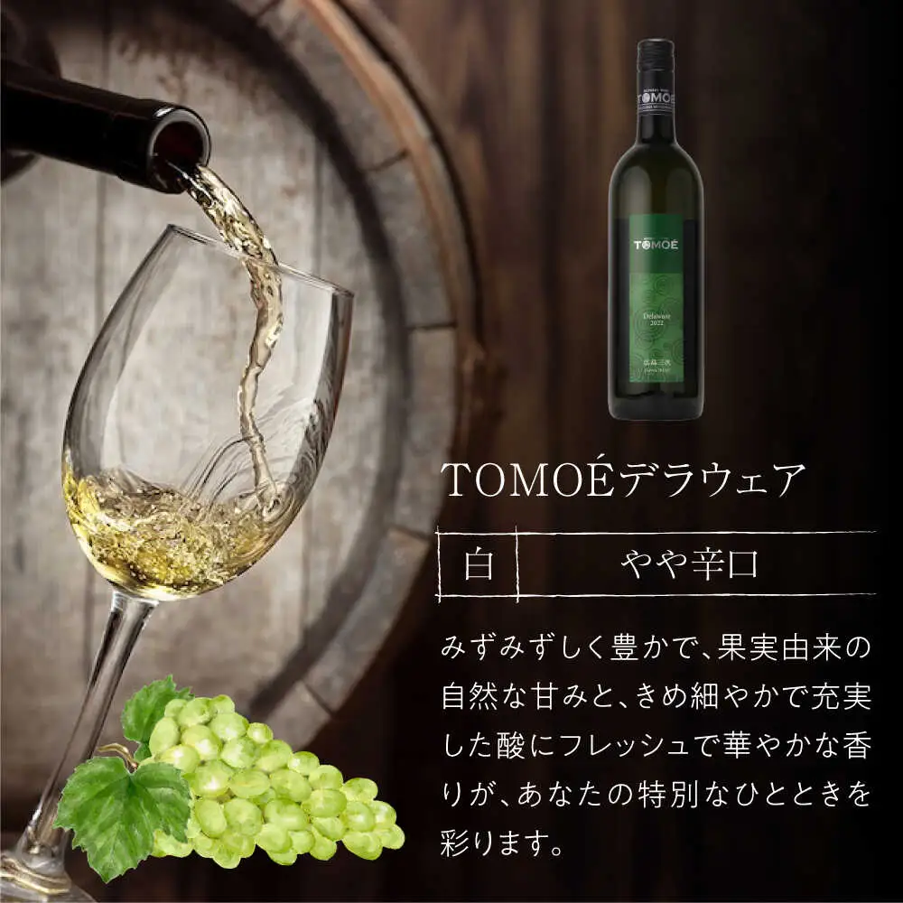 【全6回定期便】TOMOEデラウェア白ワイン[APAZ051] 白ワイン