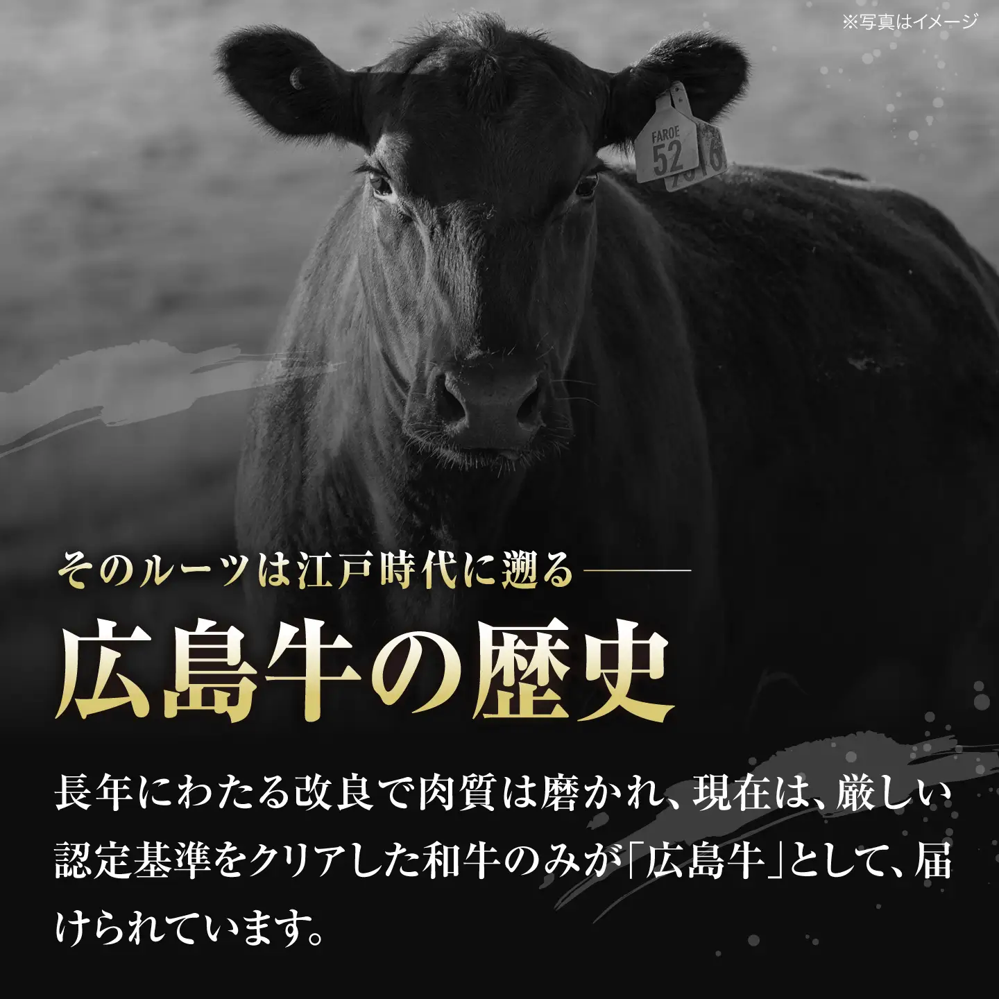 【全2回定期便】牛肉 広島牛サーロインステーキ 400g [APAZ081] 牛肉 ステーキ