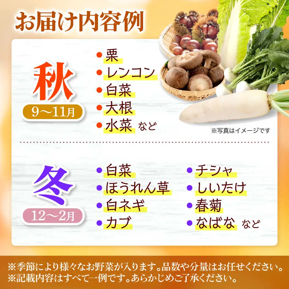野菜セット[APBA001] 野菜 詰め合わせ