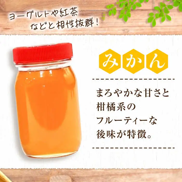 はちみつ 2種食べ比べセット 大容量 [APBO002] はちみつ