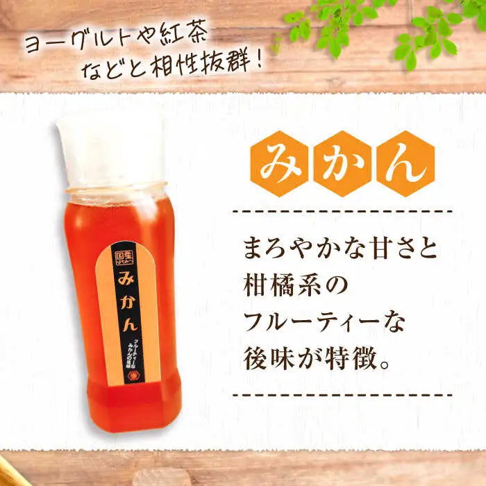 はちみつ チューブ2本セット（百花・みかん）各500g [APBO003] はちみつ