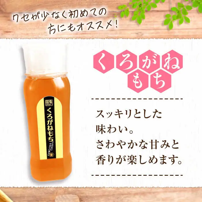 はちみつ チューブ2本セット（百花・くろがねもち）各250g [APBO011] はちみつ