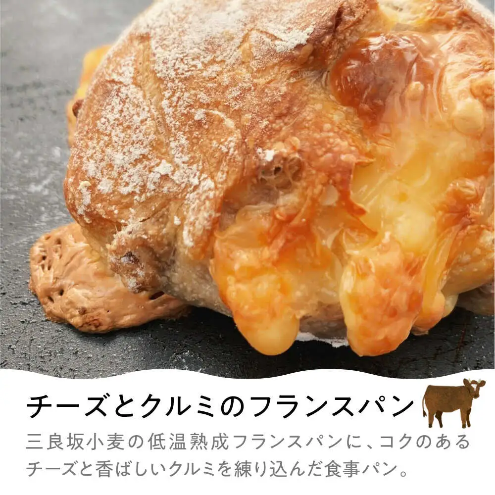 豊かな風味パンセレクション8個セット[APCI003] パン 詰め合わせ