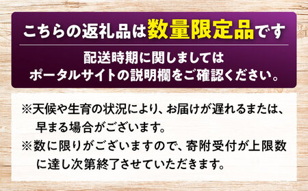  ピオーネ 1kg 訳あり ぶどう 種なし APCK001 ピオーネ