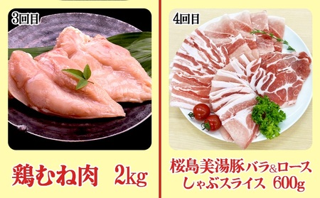 I9-0402／【6回定期便】鹿児島県産 豚肉＆鶏肉 バラエティ定期便