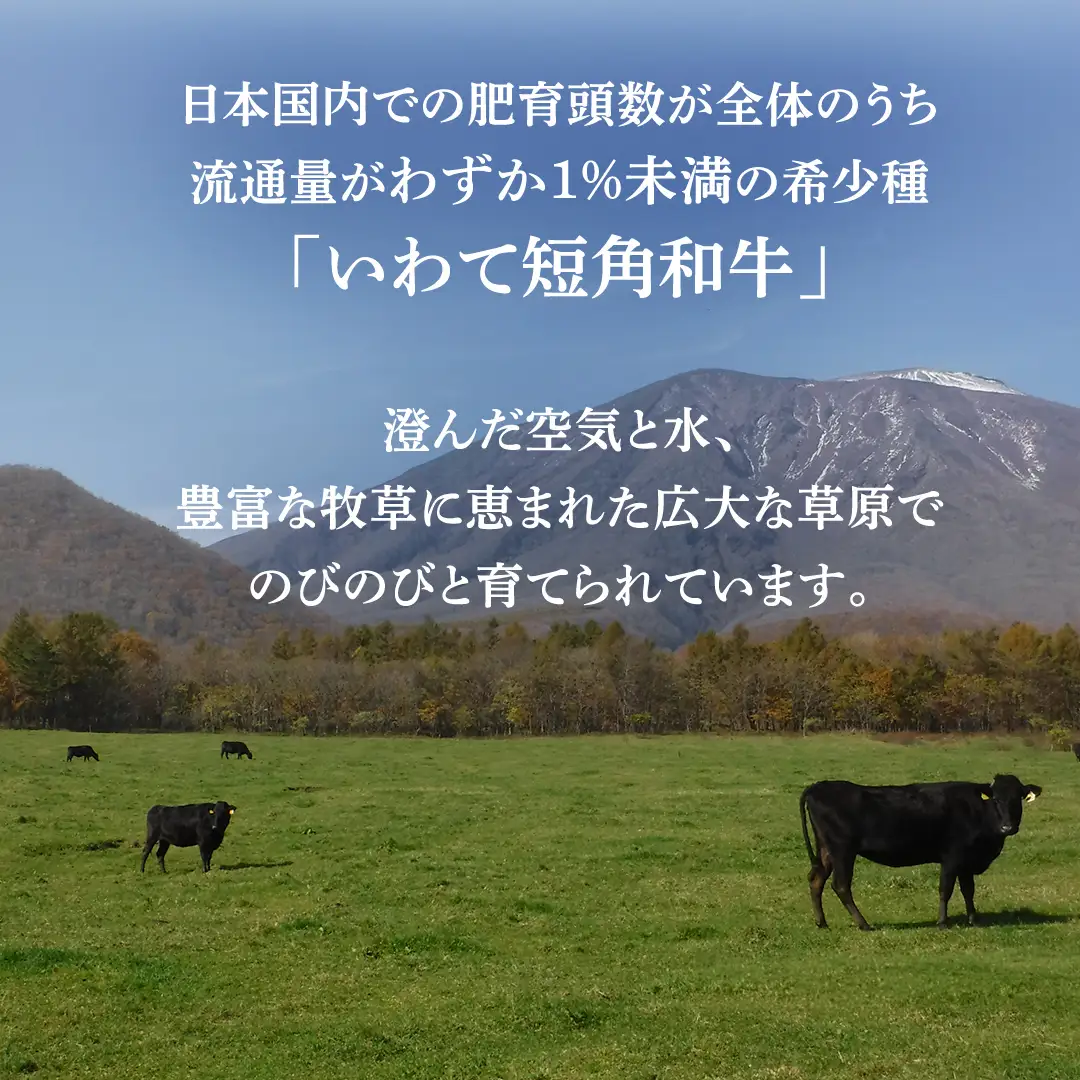いわて短角和牛 牛肉切り落とし 250g / 牛肉切り落とし (AB109)