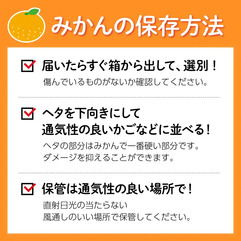【10月下旬発送】早生みかん 10kg 先行予約 みかん