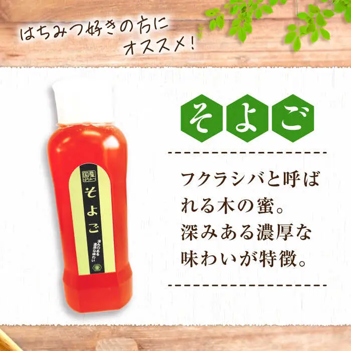 はちみつ チューブ2本セット（百花・そよご）各500g [APBO004] はちみつ