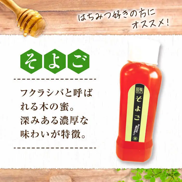はちみつ チューブ2本セット（みかん・そよご）各500g [APBO006] はちみつ