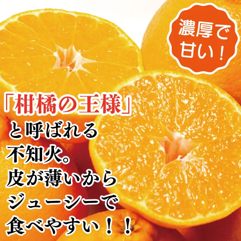 訳あり 不知火 約2kg 7個入り しらぬい 不知火 みかん ミカン