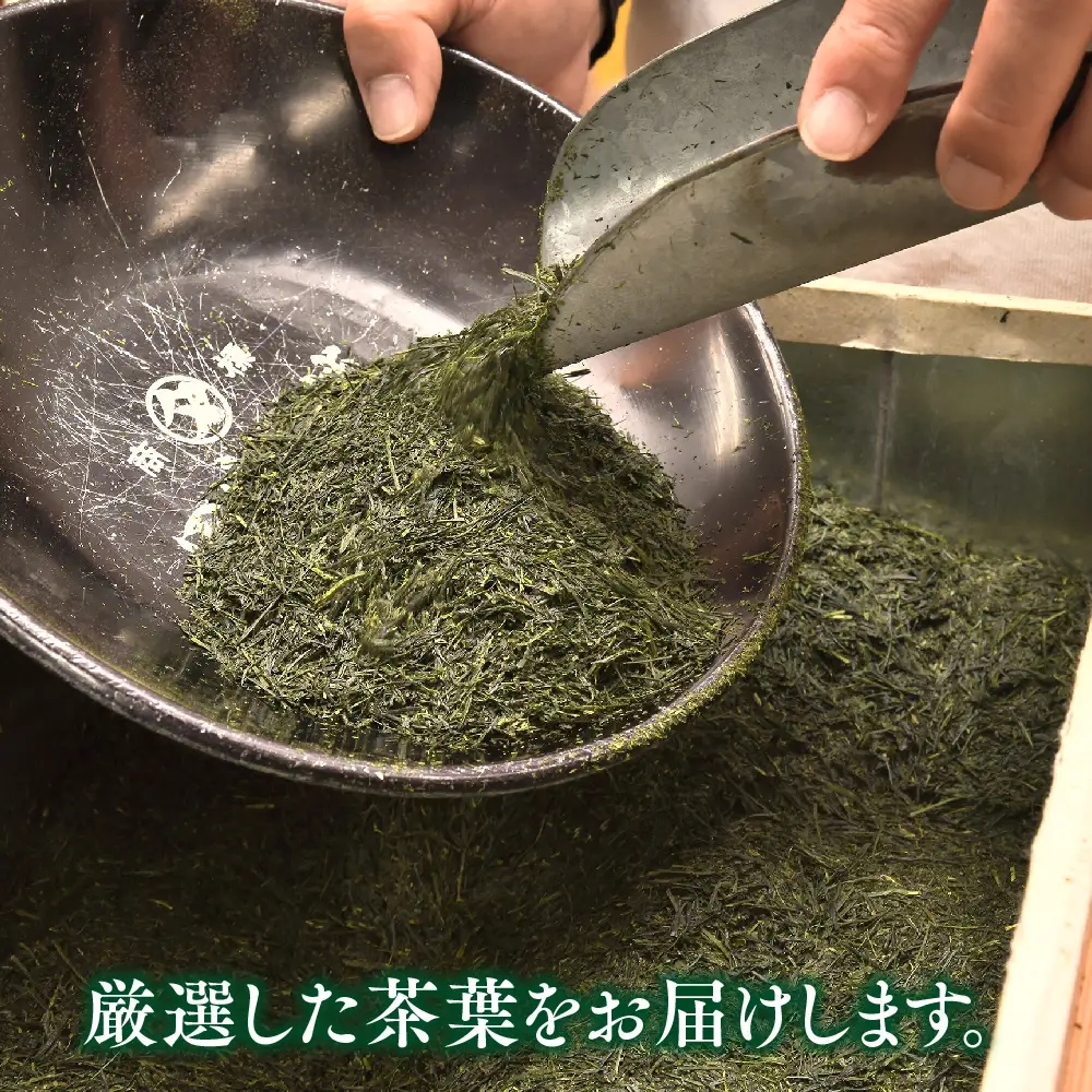普段使いに「煎茶」200g×5本(H047131)