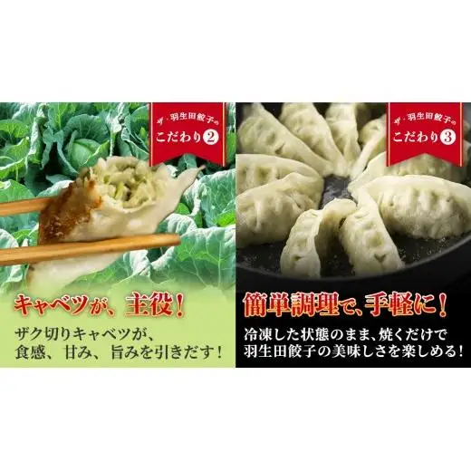 【 定期便 3ヶ月 】 まぼろしのキャベツ419使用 ザ・羽生田餃子 15個 × 2パック 計 30個 × 3回 ( 合計 90個 ) [AL016tu] 