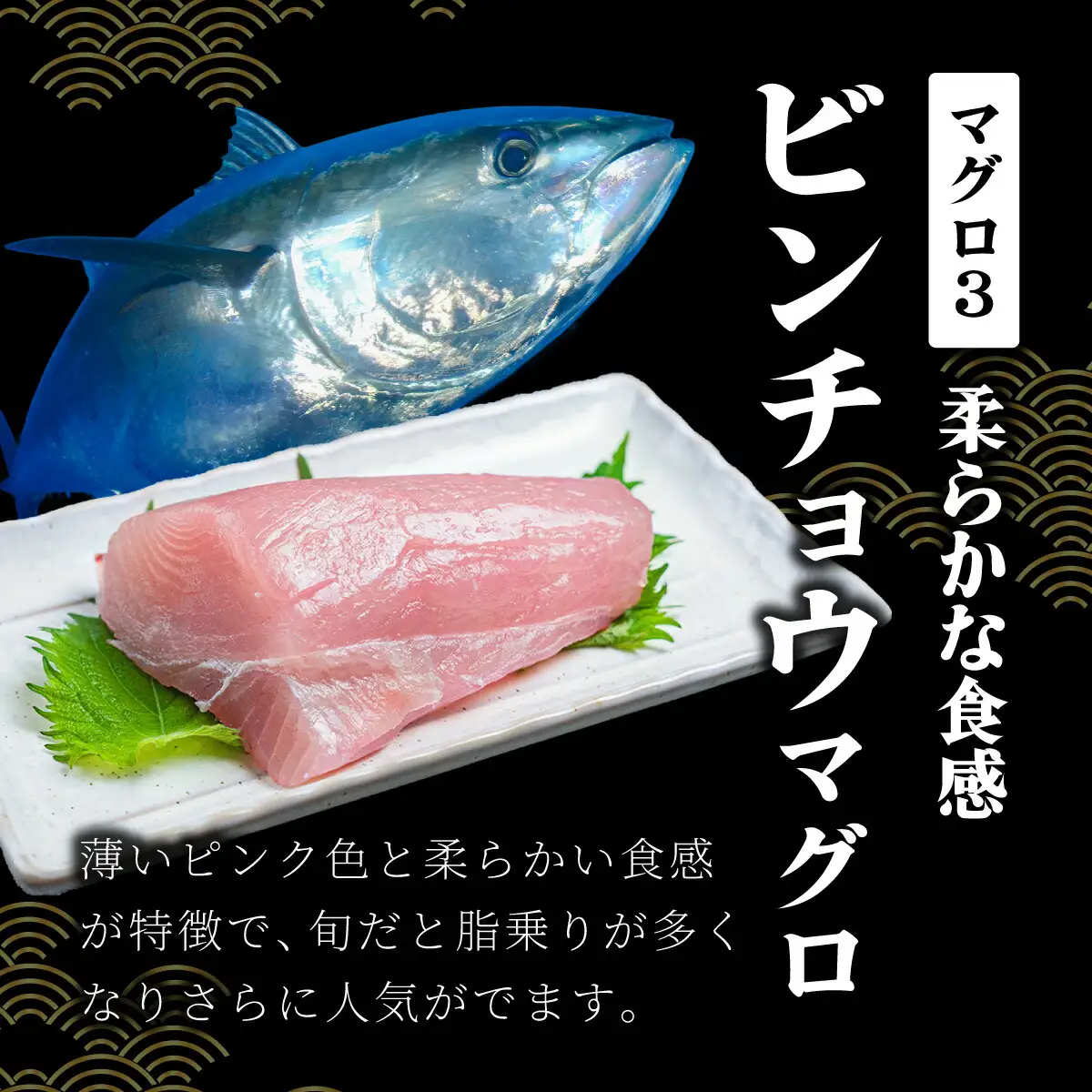 OK001-2 ビンチョウマグロ1kg 岡水産