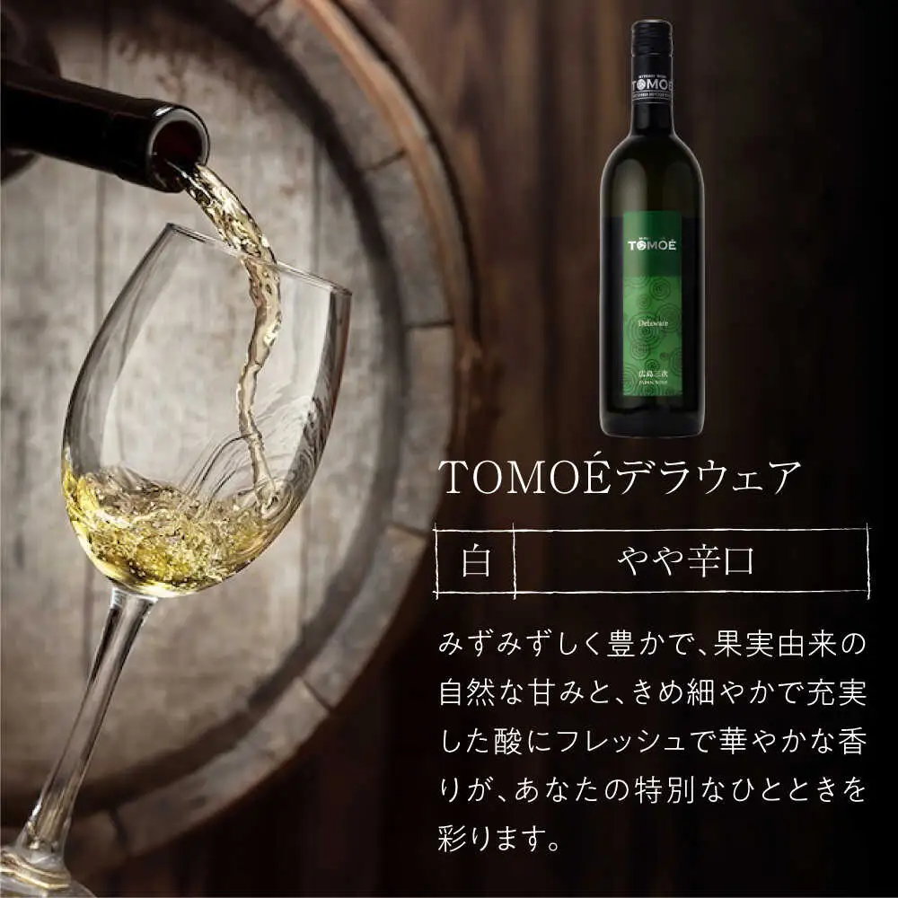 【全2回定期便】TOMOEデラウェア白ワイン[APAZ049] 白ワイン