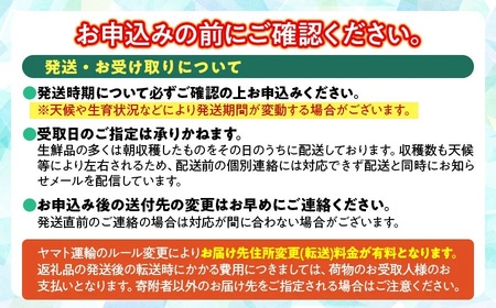 【令和9年発送】 山菜 オオバギボウシの花 500g 山形県鶴岡産 グレイスファーム