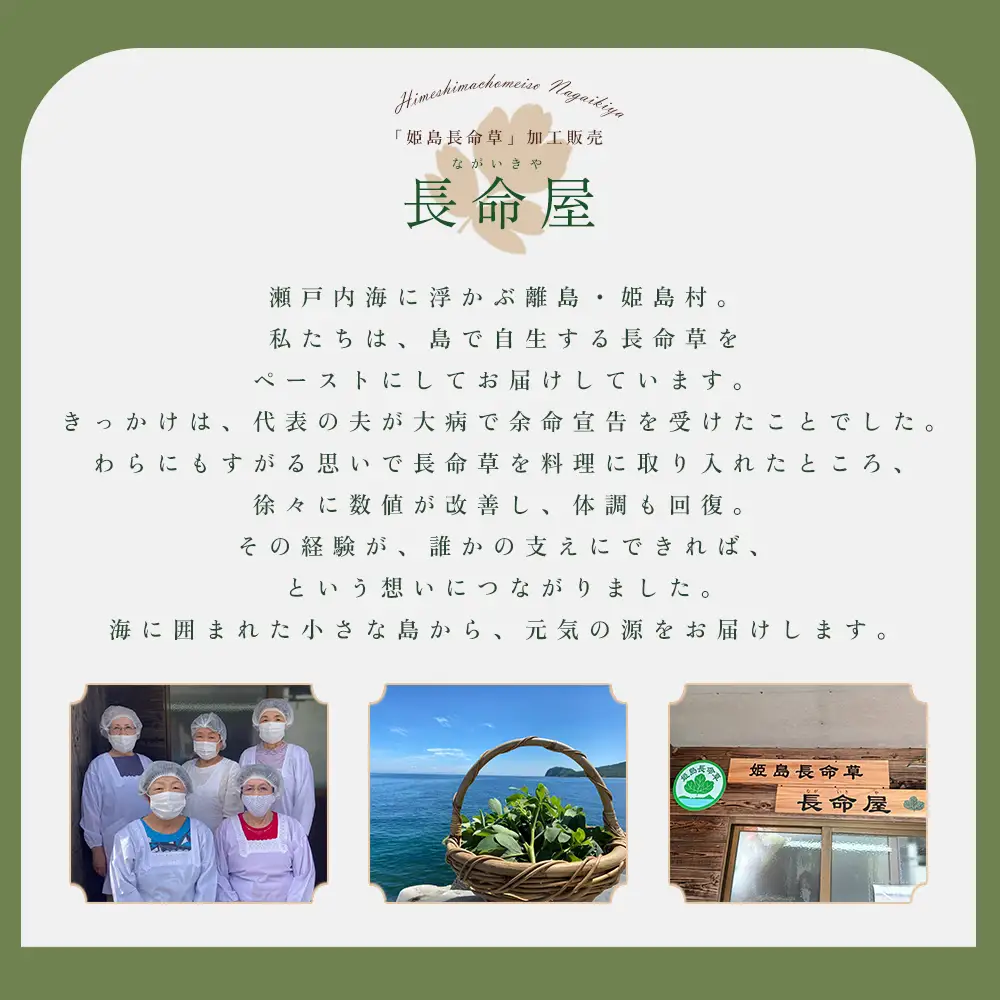 姫島村産 長命草使用 シフォンケーキ 8個 P4