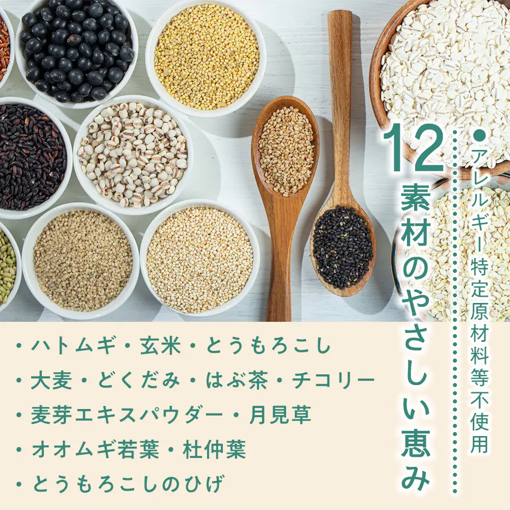 定期便 毎月 全3回 爽健美茶 600ml × 24本 １ケース 3ヶ月定期便
