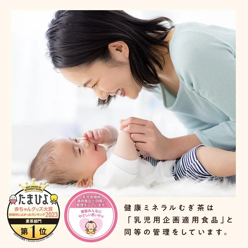 定期便 毎月 全6回 健康ミネラル麦茶 650ml×24本 １ケース 6ヶ月定期便
