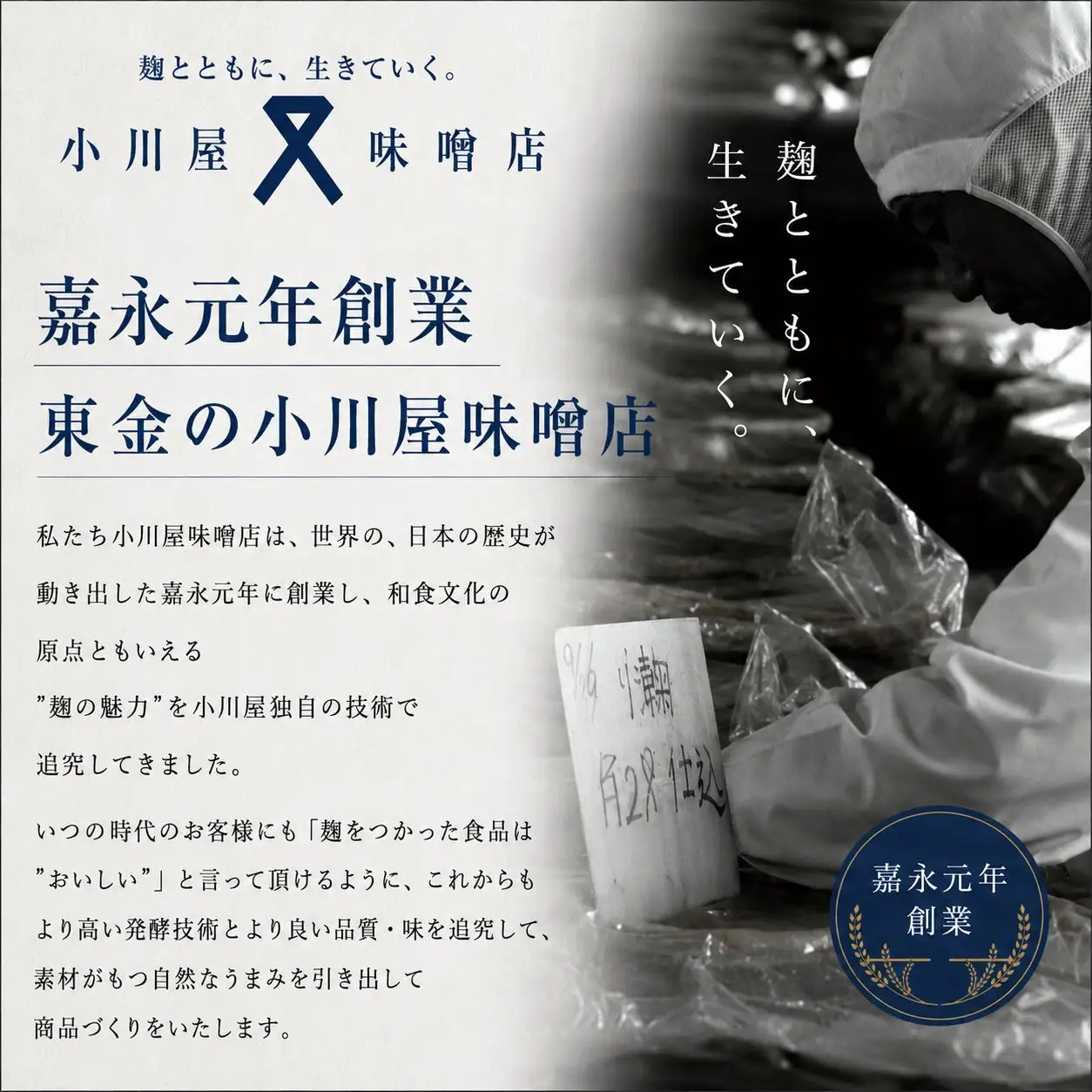 惣菜 佃煮 ピリ辛 いわし 2袋