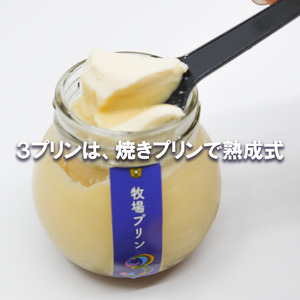 CK016_牧場プリン3　うれしの茶プリン詰め合わせ