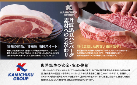 丹波黒豆ハンバーグ　１０パック 