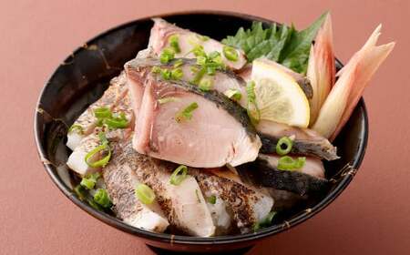 冷凍ハガツオのたたき 半身1枚×2パック 無添加 冷凍 ハガツオ 魚 お魚 魚介 熊本 炙り 生食用 流水解凍 熊本産 特殊冷凍