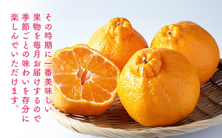 旬の果物3か月定期便　2026年1月から順次発送