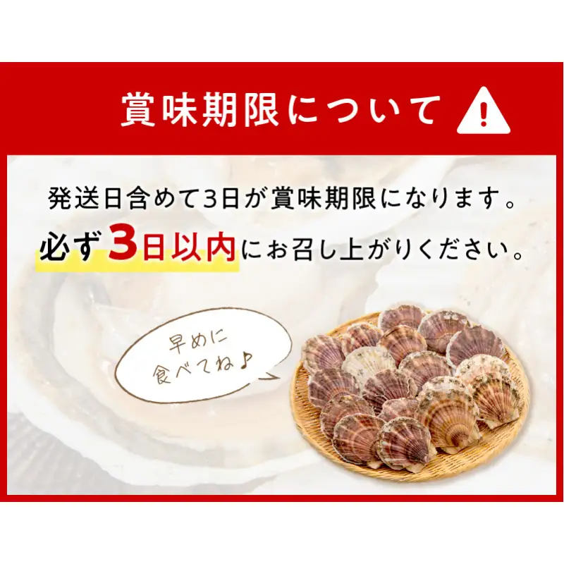 【予約：2026年3月下旬から順次発送】オホーツク貝付きほたて 3kg 15枚～25枚 ( 海鮮 魚介 魚介類 貝 貝類 ホタテ ほたて 帆立 殻付き 貝柱 贈答 ギフト 贈り物 お中元 お祝い BBQ バーベキュー )【031-0012-2026】