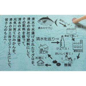 清水のしずく（みかんジュース）２本セット◇
