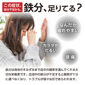 鉄分補給にオススメ！ 南部鉄器 鉄玉子 薄型1個 [BE005]