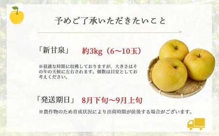 新甘泉【倉吉産】3kg（JA鳥取中央） 新甘泉 梨 和梨