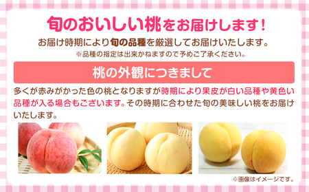 【訳あり】 ご家庭用 和歌山の桃 約2kg (6玉-8玉) m＆n果実園 【配送不可地域あり】《2027年6月中旬-7月下旬頃出荷》和歌山県 紀の川市 モモ 桃 もも 旬 白鳳 日川白鳳 なつっこ 果物 フルーツ