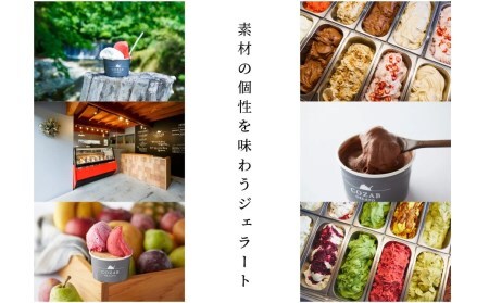 ジェラート おまかせ 8個 セット 隔月定期便 全6回 手作り アイス 国産 詰め合わせ COZAB GELATO cb-gesxx8_tk6 ※沖縄・離島への配送不可