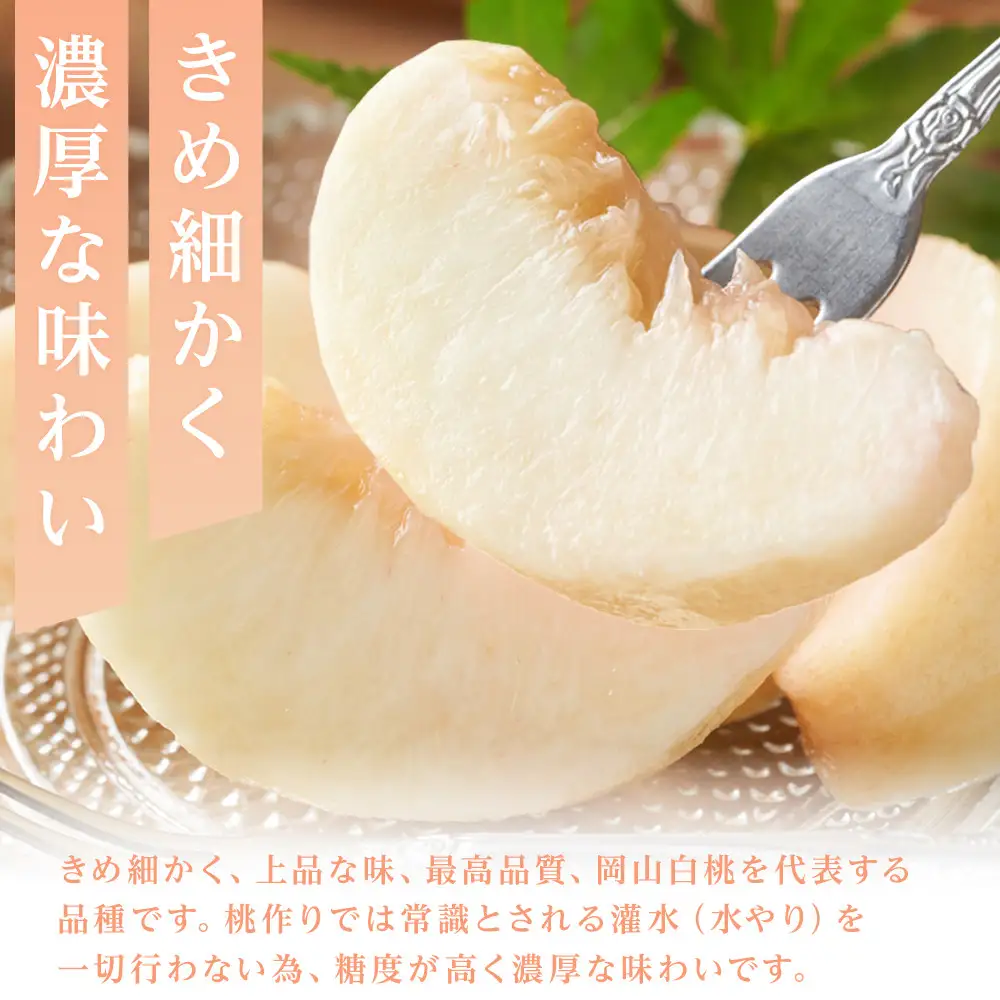 もも 2027年 清水白桃　ご家庭用　1.5kg箱（6玉前後）
