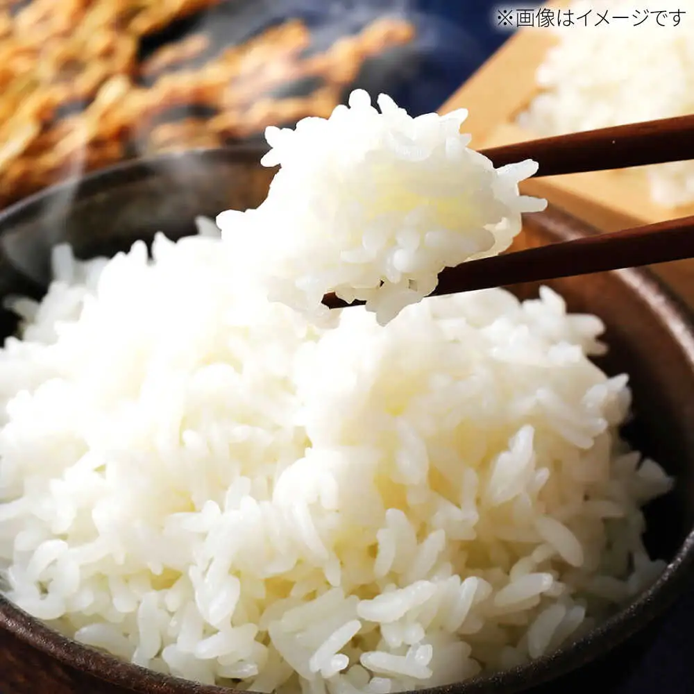 R8年産  夢しずく無洗米 5kg IBV004 夢しずく