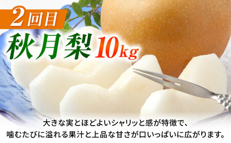 【先行予約】【3回定期便】 梨 約10kg 計約30kg（豊水・秋月・新高）  梨 ナシ フルーツ 果物 【日本フルーツ株式会社】 [ZFJ025]
