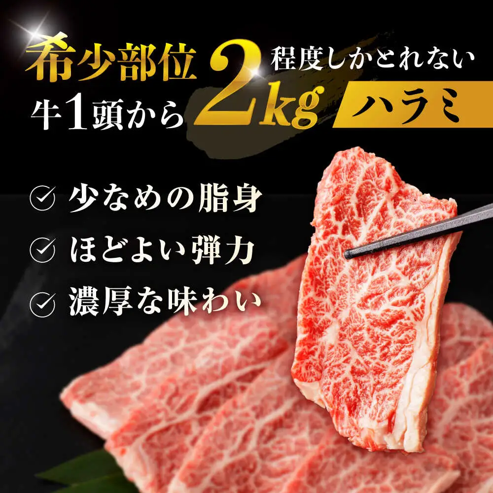 〈数量限定〉【柔らかさとコクの融合！】長崎和牛 A5 ハラミ 300g / 国産 牛肉 和牛 焼肉 はらみ / 諫早市 / 野中精肉店 [AHCW115]