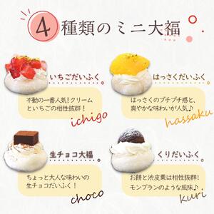 クリームだいふく 4種 8個 セット＜フレッシュタルトのお店STYLE＞