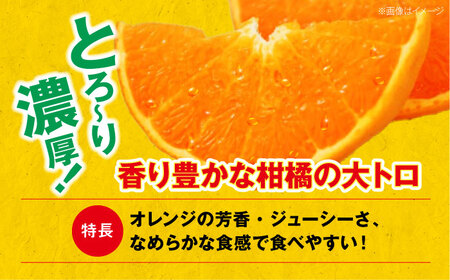 【ちょっと訳あり家庭用】せとか 約3kg  /カームシトラス[AGBW015]