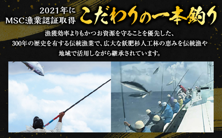 ＼近海かつお一本釣り漁獲量日本一!!／ 大判 かつお 柵 計800g_BB149-24