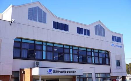 サーモン ≪発送期間5月～7月≫ 三陸 やまだオランダ島サーモン×1本