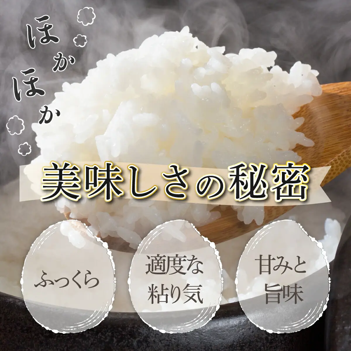 令和7年産 野根川米 5kg 米 国産 コメ【NO001】