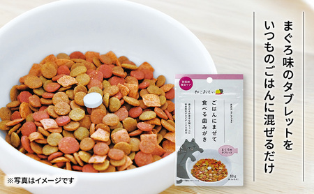 猫用歯みがきセット デンタルケア 混ぜるだけ 歯ブラシ 猫用歯みがきセット