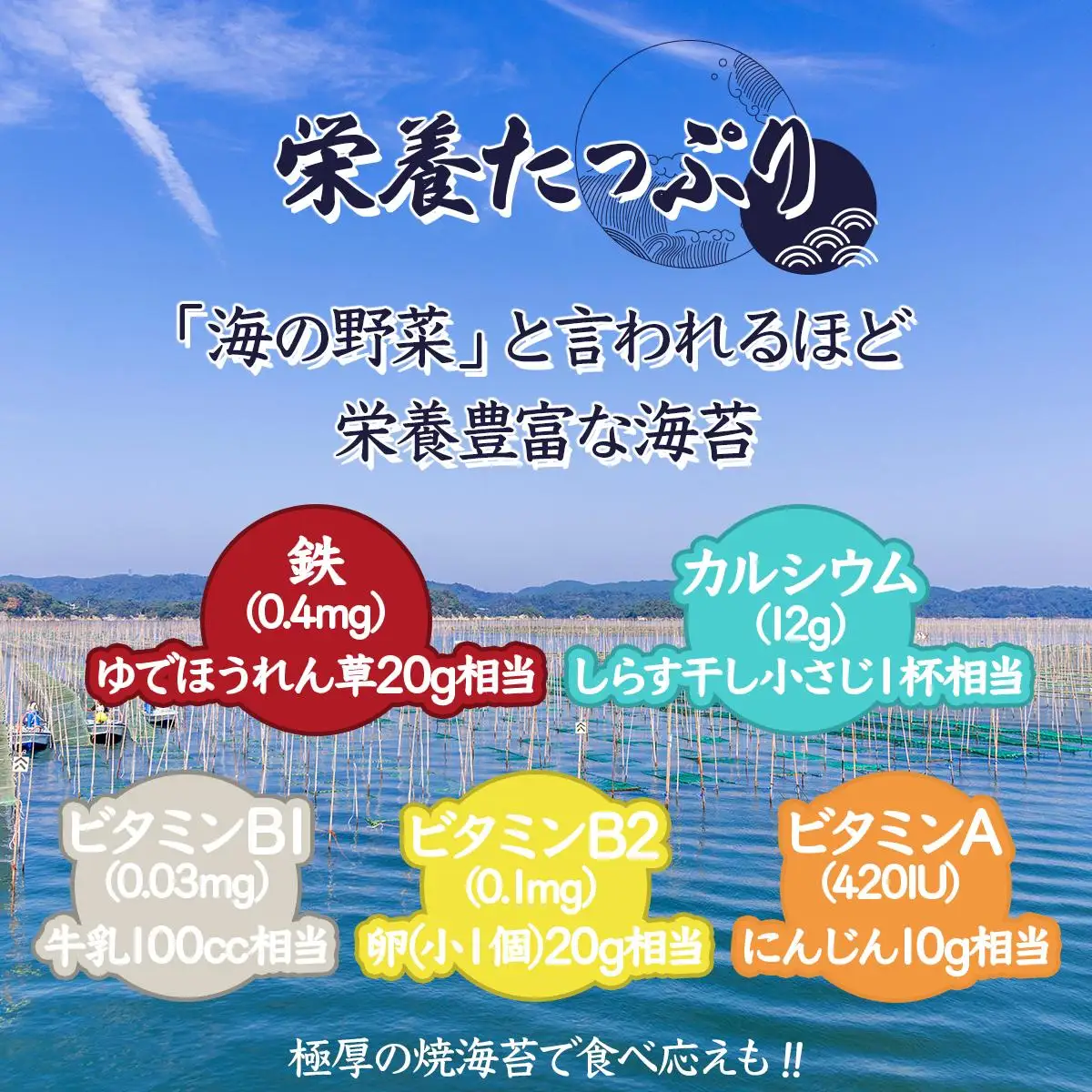お試しサイズ”！ 佐賀海苔 極厚初摘み焼海苔 5枚×2袋セット