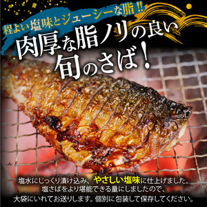 【訳あり 家庭用】 塩さば フィレ 1kg 全12回定期便_G60-T86