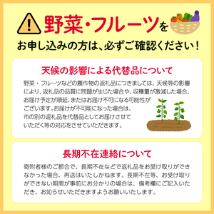 静岡県産 青島みかん 3L 約 7kg 先行予約 2026年12月下旬より順次出荷