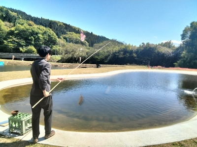 ニジマス釣り体験 | 体験 釣り 魚 ニジマス お食事付き ふるさと納税 栃木県 那珂川町 送料無料