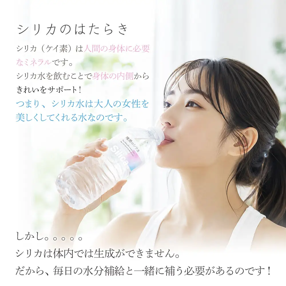 理想のシリカ 500ml × 48本